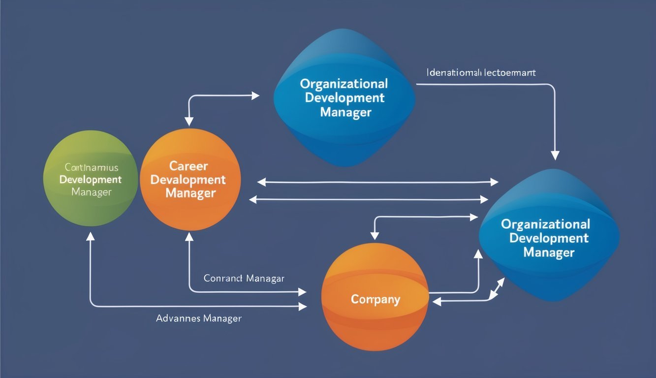 A flowchart depicting various career paths within a company, with arrows showing advancement from organizational development manager